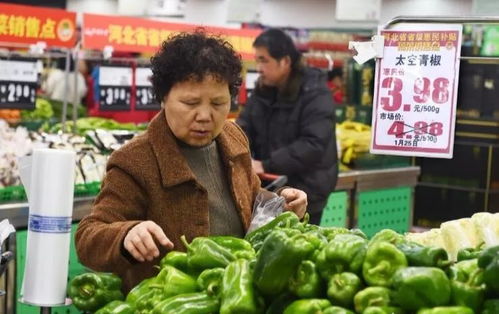 石家庄惠民肉菜本月14日开售，猪肉每公斤最低优惠3元，销售网点覆盖全市